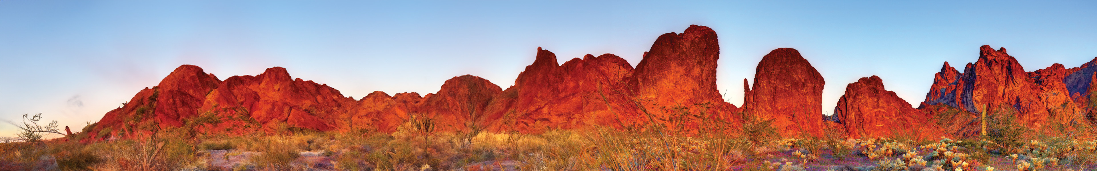 Shape Tomorrow Header